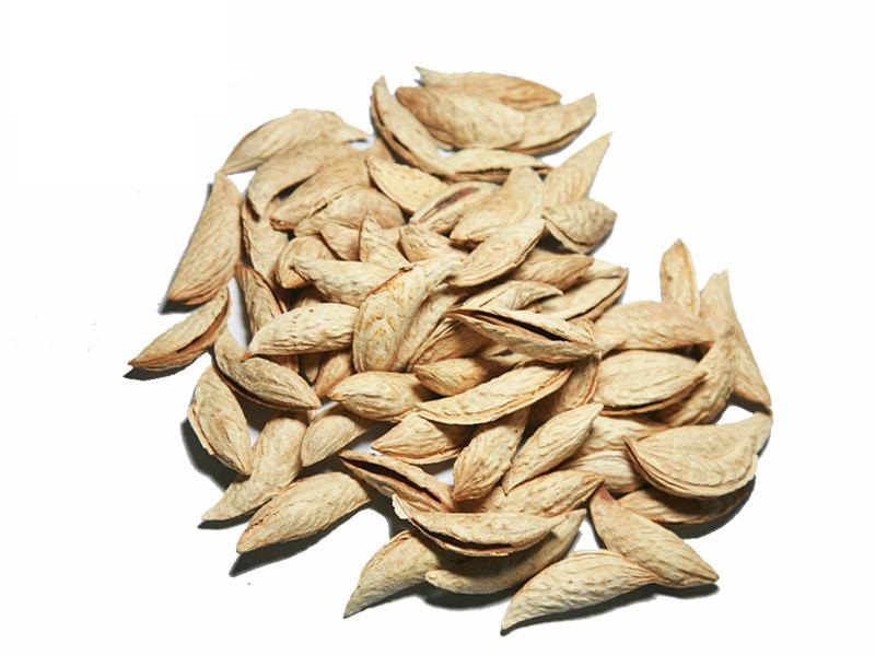 Image for Afghan ALMOND nuts (oily) with shells & without